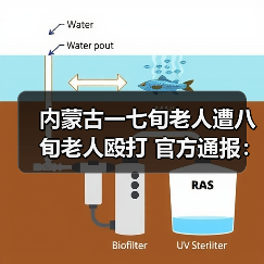 内蒙古一七旬老人遭八旬老人殴打 官方通报：涉事养老院被约谈（图1）