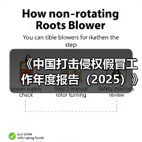《中国打击侵权假冒工作年度报告（2025）》发布