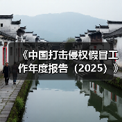 《中国打击侵权假冒工作年度报告（2025）》发布（图3）
