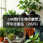 《中国打击侵权假冒工作年度报告（2025）》发布（图4）