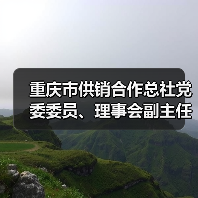 重庆市供销合作总社党委委员、理事会副主任曹邦兴接受纪律审查和监察调查（图2）