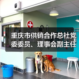 重庆市供销合作总社党委委员、理事会副主任曹邦兴接受纪律审查和监察调查