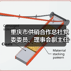 重庆市供销合作总社党委委员、理事会副主任曹邦兴接受纪律审查和监察调查（图4）