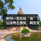 郴州一景区骑“马”下山没有走路快，网友笑称游客“也是别人眼里的项目”，景区客服回应（图4）