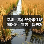 深圳一高中部分学生腹痛腹泻，官方：暂未发现食品安全问题，疾控部门正在进一步核查（图4）