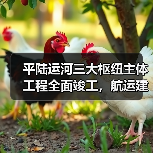 平陆运河三大枢纽主体工程全面竣工，航运建设迈入新阶段