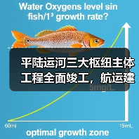 平陆运河三大枢纽主体工程全面竣工，航运建设迈入新阶段（图3）