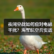 夜间空战如何应对电磁干扰?海军航空兵实战实训揭秘(图2) 夜间空战如何应对电磁干扰?海军航空兵实战实训揭秘(图2)