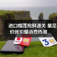 进口榴莲抢鲜通关 量足价优引爆消费热潮（图2）