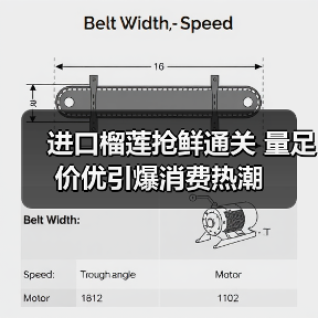 进口榴莲抢鲜通关 量足价优引爆消费热潮（图4）