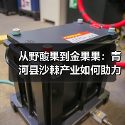 从野酸果到金果果:青河县沙棘产业如何助力生态治沙与增收致富(图2) 从野酸果到金果果:青河县沙棘产业如何助力生态治沙与增收致富(图2)