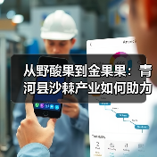 从野酸果到金果果:青河县沙棘产业如何助力生态治沙与增收致富(图1) 从野酸果到金果果:青河县沙棘产业如何助力生态治沙与增收致富(图1)