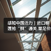 感知中国活力｜进口榴莲抢“鲜”通关 量足价优消费火热（图2）