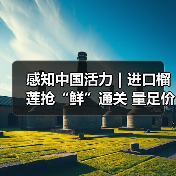 感知中国活力｜进口榴莲抢“鲜”通关 量足价优消费火热（图3）