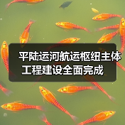 平陆运河航运枢纽主体工程建设全面完成（图4）