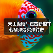 天山腹地！直击新型车载榴弹炮实弹射击（图3）