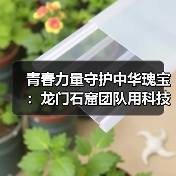 青春力量守护中华瑰宝：龙门石窟团队用科技数字化传承