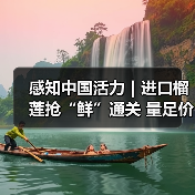 感知中国活力｜进口榴莲抢“鲜”通关 量足价优消费火热（图2）