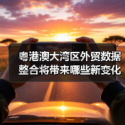 粤港澳大湾区外贸数据整合将带来哪些新变化?(图4) 粤港澳大湾区外贸数据整合将带来哪些新变化?(图4)