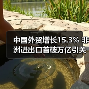 中国外贸增长15.3% 非洲进出口首破万亿引关注(图2) 中国外贸增长15.3% 非洲进出口首破万亿引关注(图2)