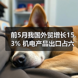 前5月我国外贸增长15.3% 机电产品出口占六成(图3) 前5月我国外贸增长15.3% 机电产品出口占六成(图3)