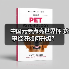 中国元素点亮世界杯 赛事经济如何升级？