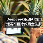 DeepSeek驱动AI应用爆发：医疗教育金融多领域革新