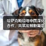哈萨克斯坦与中国深化合作,共筑发展新篇章(图3) 哈萨克斯坦与中国深化合作,共筑发展新篇章(图3)