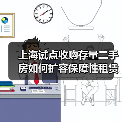 上海试点收购存量二手房如何扩容保障性租赁住房供给？（图3）