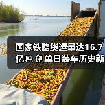 国家铁路货运量达16.7亿吨 创单日装车历史新高(图4) 国家铁路货运量达16.7亿吨 创单日装车历史新高(图4)