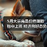 5月大宗商品价格指数稳中上扬 经济向好态势凸显（图2）