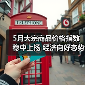 5月大宗商品价格指数稳中上扬 经济向好态势凸显（图4）