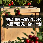 财政部香港发行150亿人民币国债，全年计划达840亿（图4）