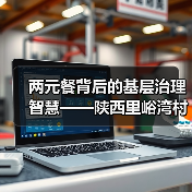 两元餐背后的基层治理智慧——陕西里峪湾村创新实践（图3）