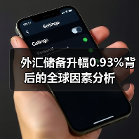 外汇储备升幅0.93%背后的全球因素分析(图4) 外汇储备升幅0.93%背后的全球因素分析(图4)