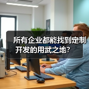 所有企业都能找到定制开发的用武之地？（图3）