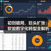 初创破局，巨头扩张：软盟数字化转型全解析（图3）
