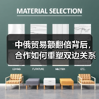 中俄贸易额翻倍背后，合作如何重塑双边关系？