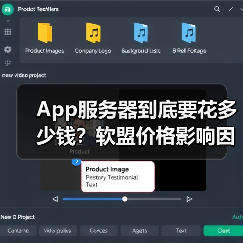 App服务器到底要花多少钱？软盟价格影响因素全解析