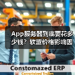 App服务器到底要花多少钱？软盟价格影响因素全解析（图2）