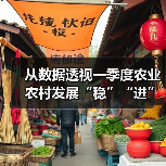 从数据透视一季度农业农村发展“稳”“进”“好” 乡村休闲旅游蓬勃兴旺