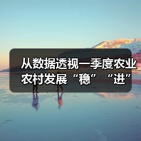 从数据透视一季度农业农村发展“稳”“进”“好” 乡村休闲旅游蓬勃兴旺（图3）