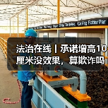 法治在线丨承诺增高10厘米没效果，算欺诈吗？法院这样判（图2）