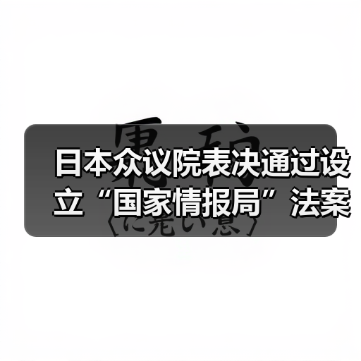 日本众议院表决通过设立“国家情报局”法案（图3）