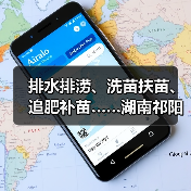 排水排涝、洗苗扶苗、追肥补苗……湖南祁阳以“迅”应“汛”合力保春耕（图3）