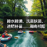 排水排涝、洗苗扶苗、追肥补苗……湖南祁阳以“迅”应“汛”合力保春耕（图4）