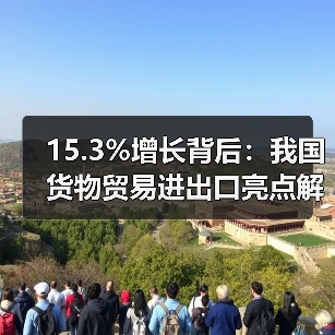 15.3%增长背后：我国货物贸易进出口亮点解析