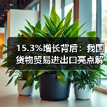 15.3%增长背后：我国货物贸易进出口亮点解析（图3）