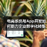 电商系统与App开发如何助力企业数字化转型？（图2）