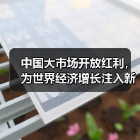 中国大市场开放红利,为世界经济增长注入新动力(图3) 中国大市场开放红利,为世界经济增长注入新动力(图3)